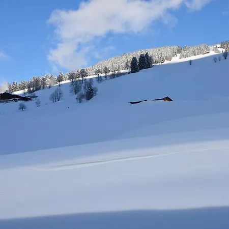 Gundi Ripper Apartment Saalbach-Hinterglemm