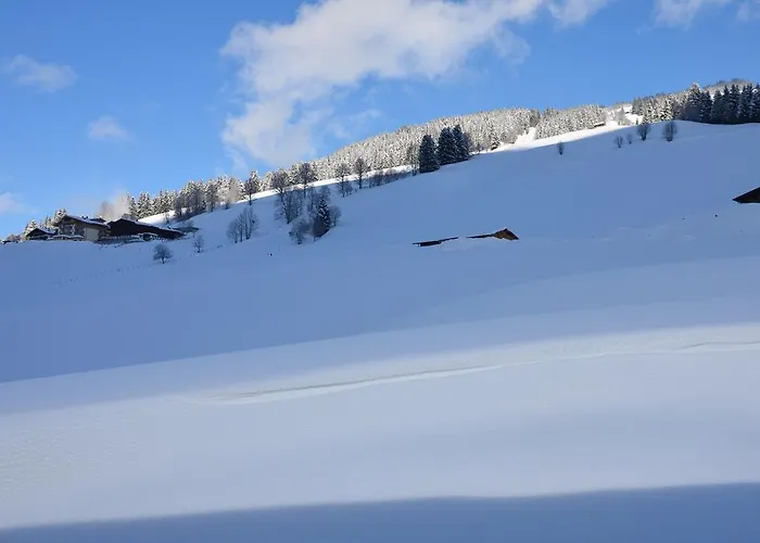 Gundi Ripper アパート ザールバッハ・ヒンターグレム